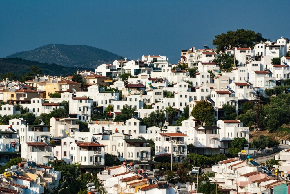kusadas-2483851_1920.jpg