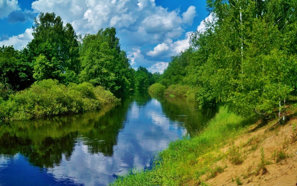 river-975914_1920.jpg